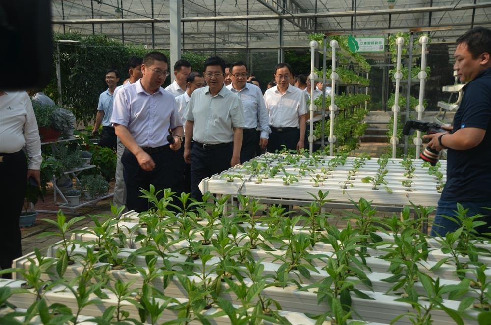 科技助農(nóng)，播撒光的種子  精準(zhǔn)扶貧，助力鄉(xiāng)村振興